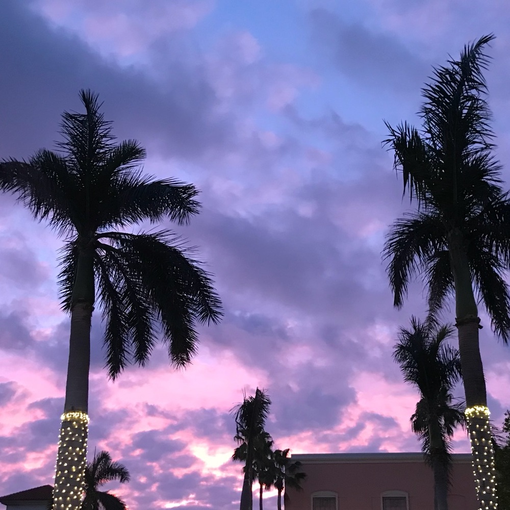 Meet your Posher, Cassie